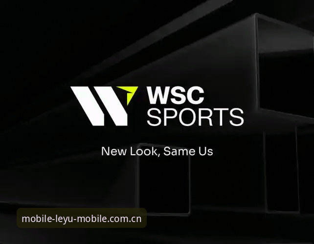 乐鱼手机版网页登录vsAPP下载：新旧选择背后的体验差异